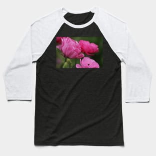 Closeup Deep Peony Pink Ranunculus Baseball T-Shirt